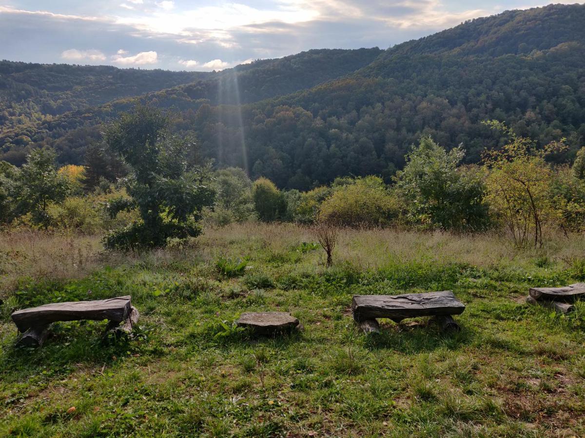 Старата Къща - Трявна Villa Dış mekan fotoğraf