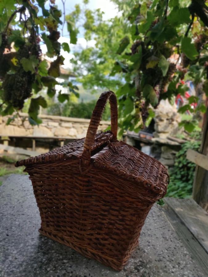 Старата Къща - Трявна Villa Dış mekan fotoğraf