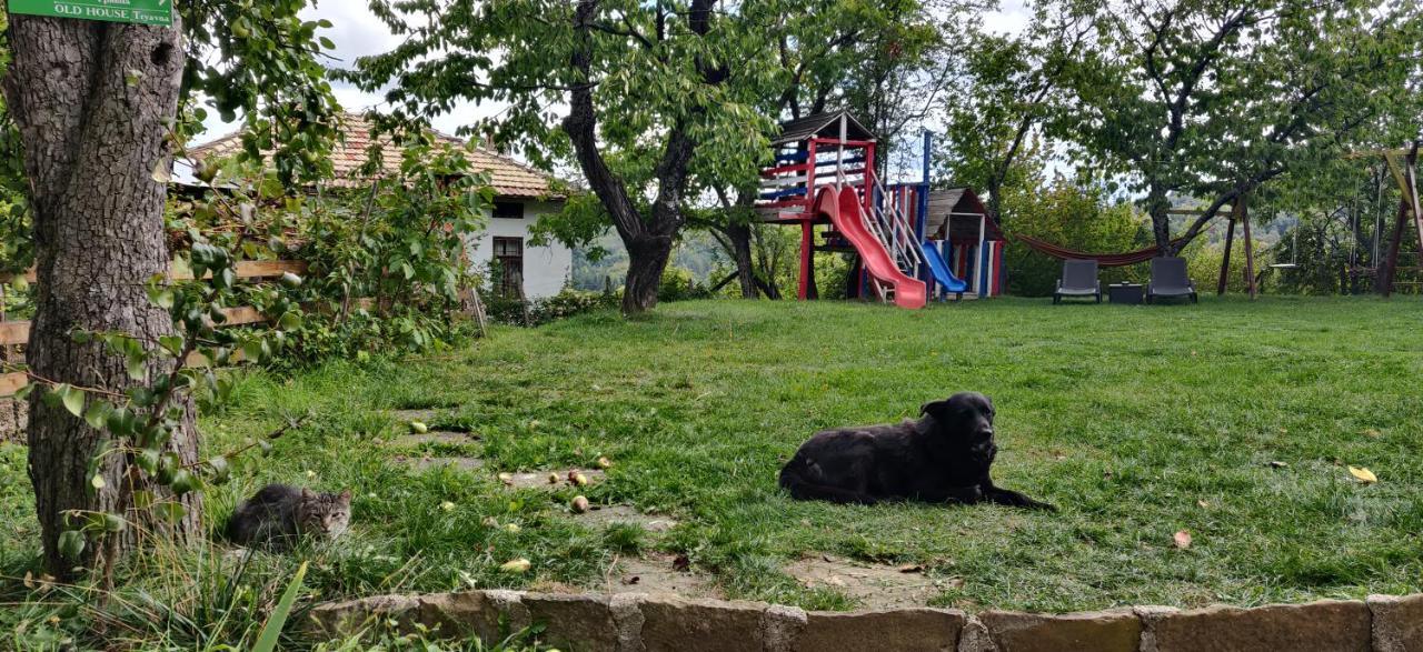 Старата Къща - Трявна Villa Dış mekan fotoğraf